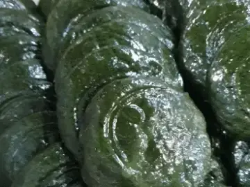 갓 쪄낸 쑥개떡의 표면과 전통 문양